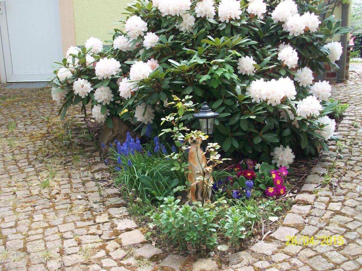 Appartement Giesis Wohlfuehloase à Döbeln Extérieur photo